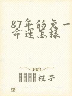 87年的兔一生命运怎样