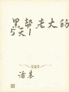 黑帮老大的365天1