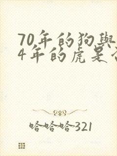 70年的狗与74年的虎是否婚配封面