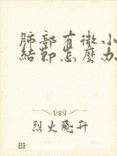 肺部有微小实性结节怎么办