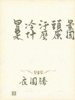 冒冷汗头晕想吐是什么原因