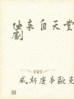 他来自天堂电视剧封面