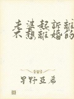 老婆起诉离婚我不想离婚的最好办法是什么