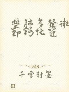 双肺多发微小结节钙化灶封面