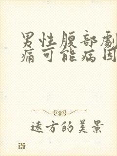 男性腹部剧烈疼痛可能病因