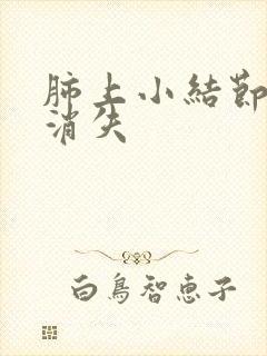 肺上小结节不会消失