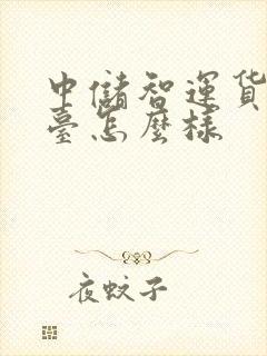 中储智运货运平台怎么样