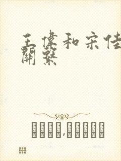 王伟和宋佳什么关系