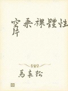 空乘裸体性服务片