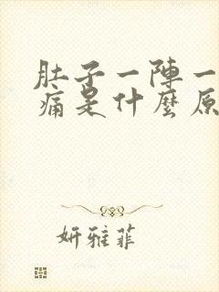 肚子一阵一阵疼痛是什么原因封面