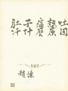 肚子痛想吐冒冷汗什么原因