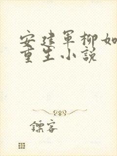 安建军柳如烟的重生小说