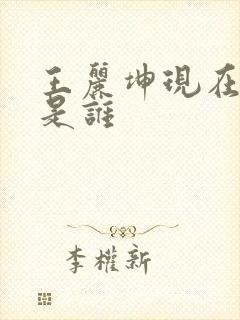 王丽坤现在老公是谁