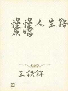 慢慢人生路歌曲原唱封面