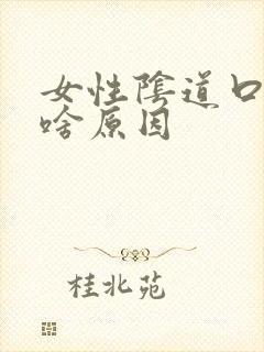 女性阴道口痛是啥原因封面