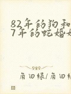 82年的狗和77年的蛇婚姻相配吗封面