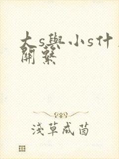 大s与小s什么关系