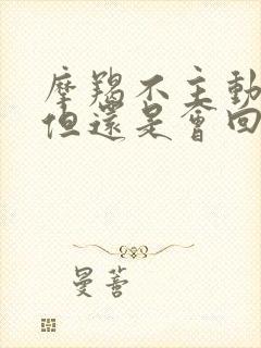 摩羯不主动找你但还是会回你