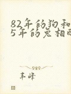 82年的狗和75年的兔相配婚姻如何