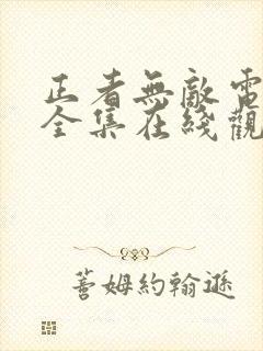 正者无敌电视剧全集在线观看