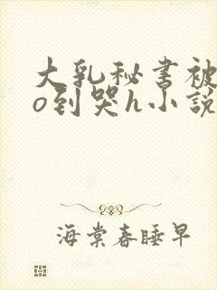 大乳秘书被cao到哭h小说