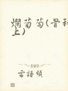 烂葡萄(骨科年上)