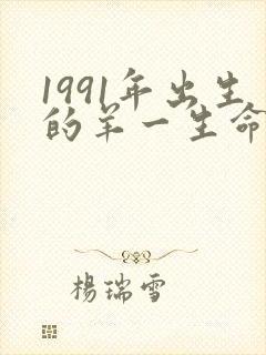 1991年出生的羊一生命运如何