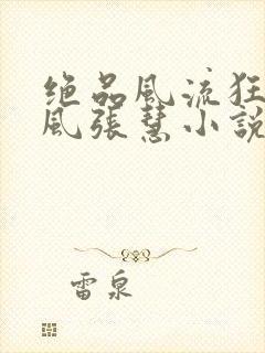 绝品风流狂医林风张慧小说的免费阅读