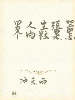 男人生殖器起了个肉粒是怎么回事