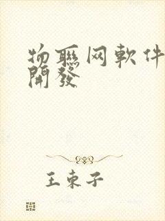 物联网软件公司开发