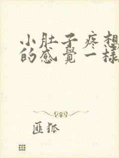 小肚子疼想拉屎的感觉一样怎么回事