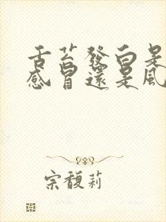 舌苔发白是风热感冒还是风寒感冒