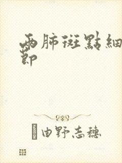 两肺斑点细小结节