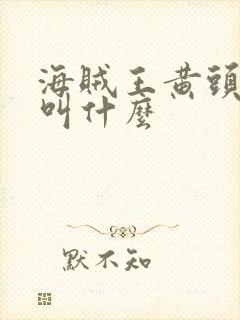 海贼王黄头发的叫什么