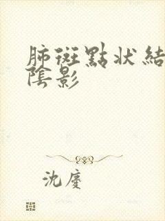 肺斑点状结节状阴影