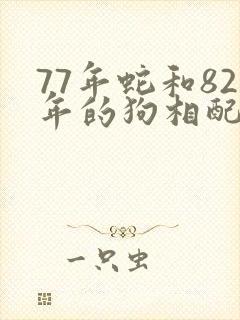 77年蛇和82年的狗相配吗