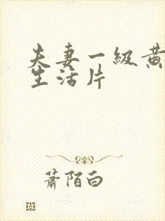 夫妻一级黄色性生活片封面