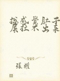 总感觉肚子里有屎拉不出来怎么办封面