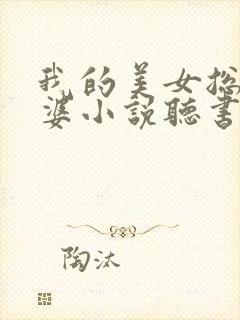 我的美女总裁老婆小说听书