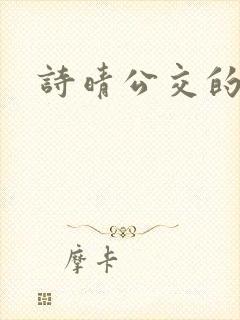 诗晴公交的小说封面