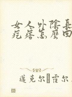 女人外阴长了个疙瘩怎么回事啊封面