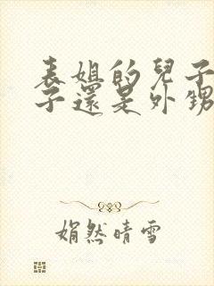 表姐的儿子叫侄子还是外甥封面