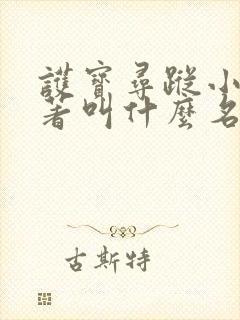 护宝寻踪小说原著叫什么名字