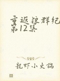 重返狼群纪录片第12集