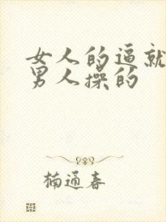 女人的逼就是给男人操的封面