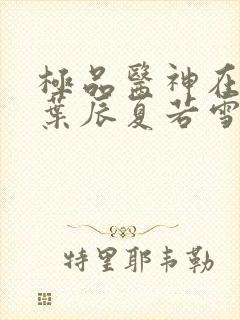 极品医神在都市叶辰夏若雪最新章节