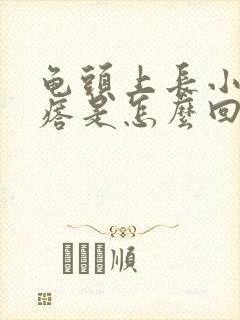 龟头上长小红疙瘩是怎么回事