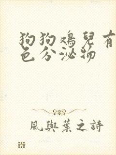 狗狗鸡儿有黄绿色分泌物