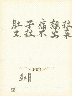 肚子痛想拉粑粑又拉不出来什么原因