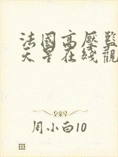 法国高压监狱满天星在线观看